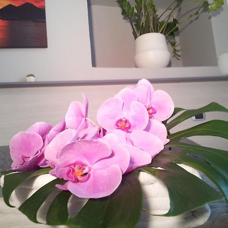 B&B Solimena Неаполь Екстер'єр фото