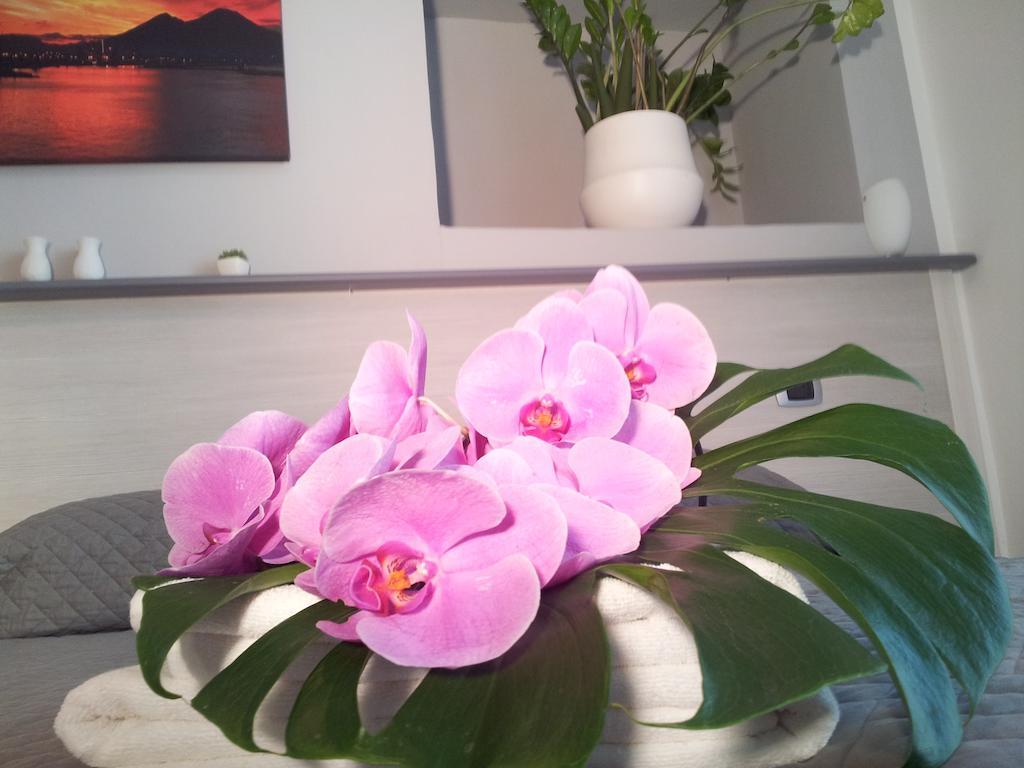 B&B Solimena Неаполь Екстер'єр фото
